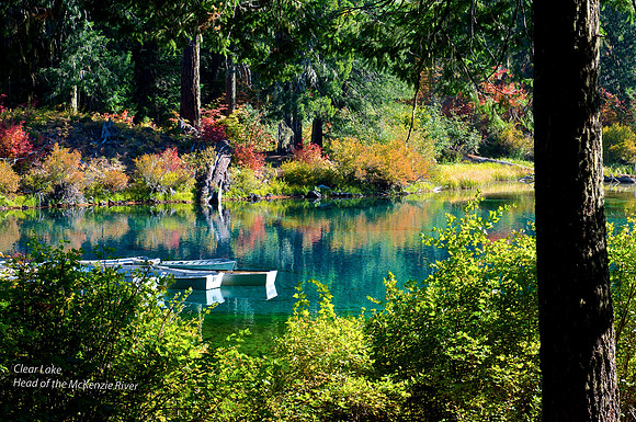 Clear Lake - Headwaters of the McKenzie River