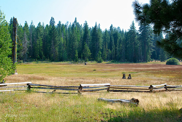 Prarie Farm