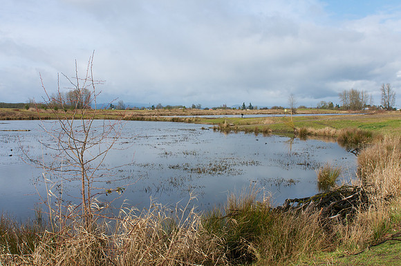 Golden Gardens Park
