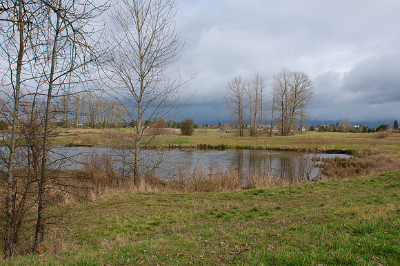 Golden Gardens Park