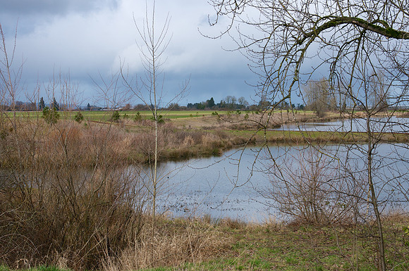 Golden Gardens Park