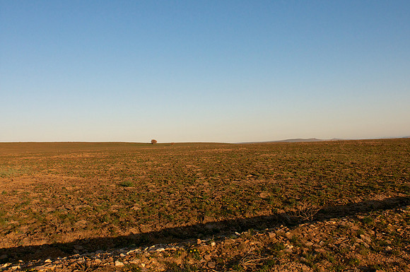 Looking west from the Lek