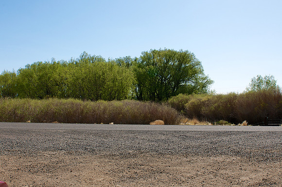 The oasis as seen from the parking lot