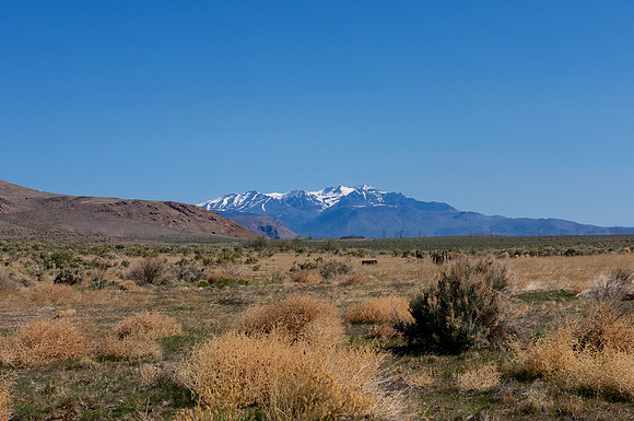 Looking north from behind the oasis