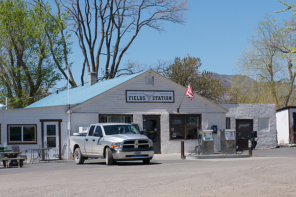 The cafe and store at Fields