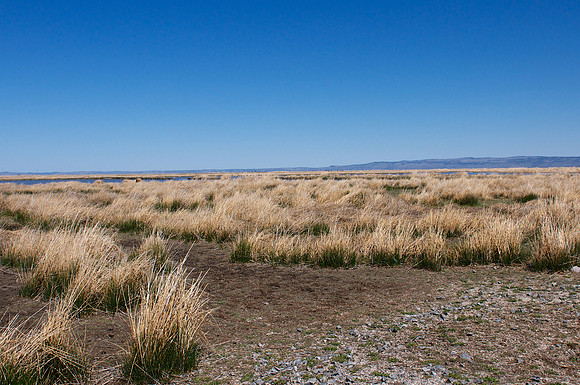 Lawen Marshes