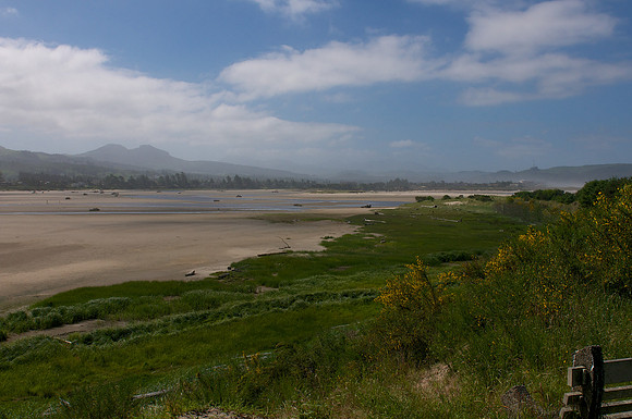 "Little Beach" Necanicum River Estuary near Gearhart