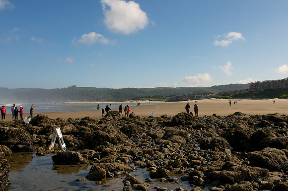 Cannon Beach