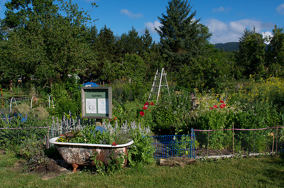 The garden at Alder Creek Natural Area
