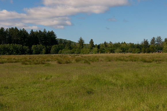 Alder Creek Natural Area